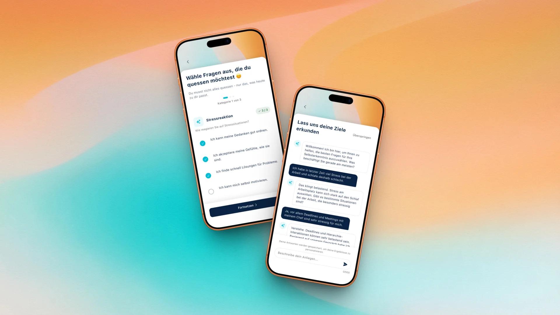 About Project